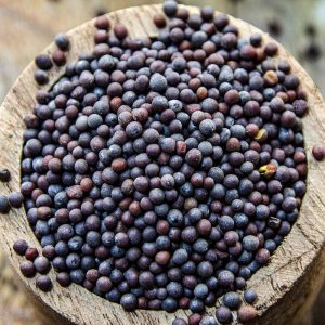 Mustard Seeds - 500g
